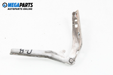Панта преден капак за Peugeot 206 Hatchback (08.1998 - 12.2012), 4+1 вр., хечбек, позиция: дясна