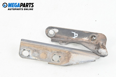Панта преден капак за Seat Ibiza III Hatchback (02.2002 - 11.2009), 4+1 вр., хечбек, позиция: дясна