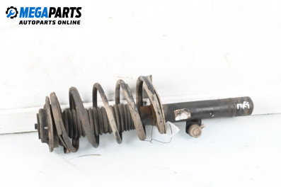 Макферсон за Citroen Xsara Picasso (09.1999 - 06.2012), хечбек, позиция: предна, дясна
