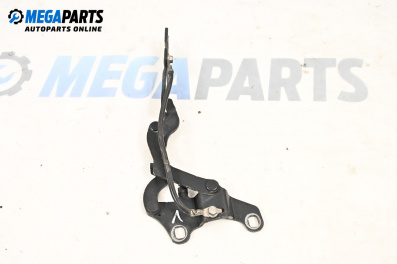Панта преден капак за BMW 1 Series E87 (11.2003 - 01.2013), 4+1 вр., хечбек, позиция: лява