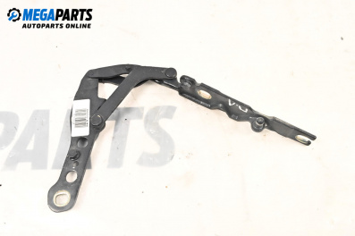 Панта преден капак за BMW 3 Series E46 Sedan (02.1998 - 04.2005), 4+1 вр., седан, позиция: лява