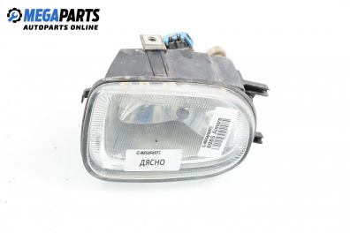 Халоген за Nissan Almera II Hatchback (01.2000 - 12.2006), хечбек, позиция: дясна