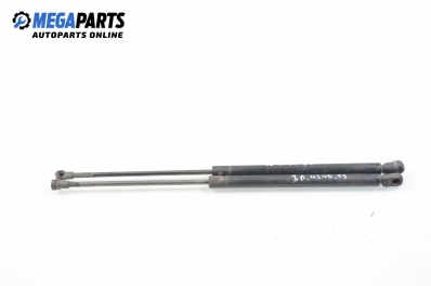 Амортисьор за багажник/товарно пространство за Audi A3 Hatchback I (09.1996 - 05.2003)