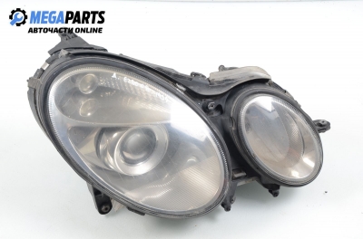 Фар Xenon за Mercedes-Benz E-Class Estate (S211) (03.2003 - 07.2009), комби, позиция: дясна
