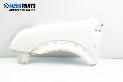 Калник за Ford Transit Connect (06.2002 - 12.2013), товарен, позиция: лява