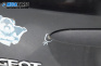 Заден капак за Peugeot 206 Hatchback (08.1998 - 12.2012), 2+1 вр., хечбек, позиция: задна