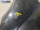 Калник за Nissan Murano I SUV (08.2003 - 09.2008), позиция: предна, лява